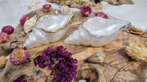 2. Το πρώτο μας αντικείμενο: ένα κοχύλι